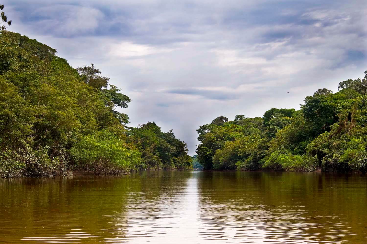 AMAZONAS 17 rio galeria_MG_2455_.jpg